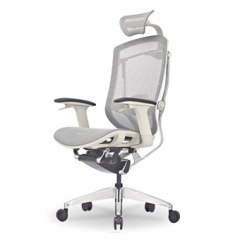 Премиум эргономичное кресло GT Chair Isee X