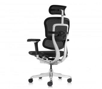 Эргономичное кресло Comfort Workspace Ergohuman Luxury 2