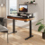 Стол для компьютера c электрической регулировкой по высоте и 2 ящиками EUREKA ERK-ED-I47-WN Стол для компьютера c электрической регулировкой по высоте и 2 ящиками EUREKA ERK-ED-I47-WN