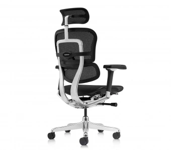 Эргономичное кресло Comfort Workspace Ergohuman Luxury 2
