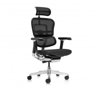 Эргономичное кресло Comfort Workspace Ergohuman Luxury 2