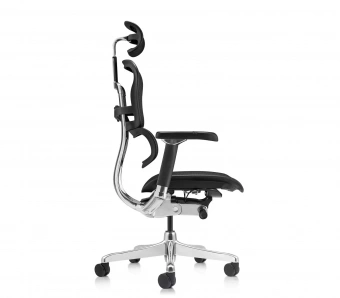 Эргономичное кресло Comfort Workspace Ergohuman Luxury 2