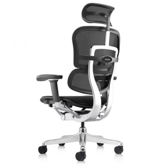Кресло эргономическое Comfort Seating Ergohuman 2 ST Elite
