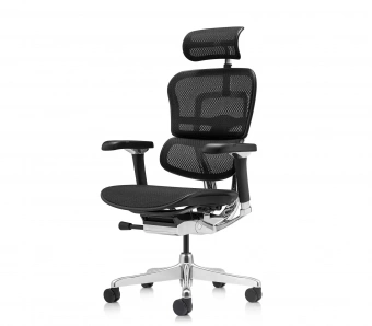 Эргономичное кресло Comfort Workspace Ergohuman Luxury 2