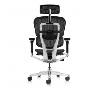 Эргономичное кресло Comfort Workspace Ergohuman Luxury 2