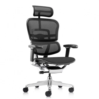 Кресло эргономическое Comfort Seating Ergohuman 2 ST Elite