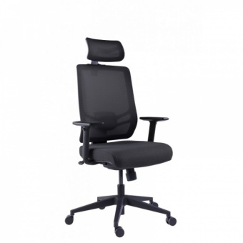 Премиум эргономичное кресло GT Chair InFlex Z