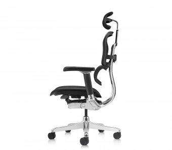 Эргономичное кресло Comfort Workspace Ergohuman Luxury 2